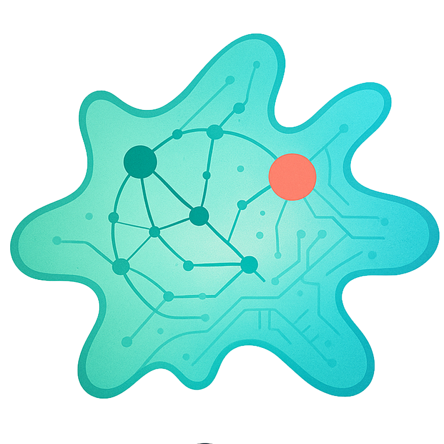 Amoeba Protocol Team